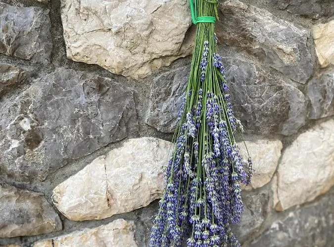 Апартаменты App Oliver