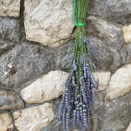 Lejlighed App Oliver